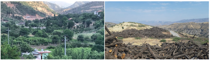 47 villages have been evacuated due to the Turkish army attacks in the Southern Kurdistan / deforestation by the Syrian mercenaries and hirelings.
