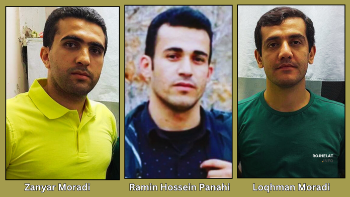 Zaniar Moradi, Loghman Moradi and Ramin Hossein Panahi