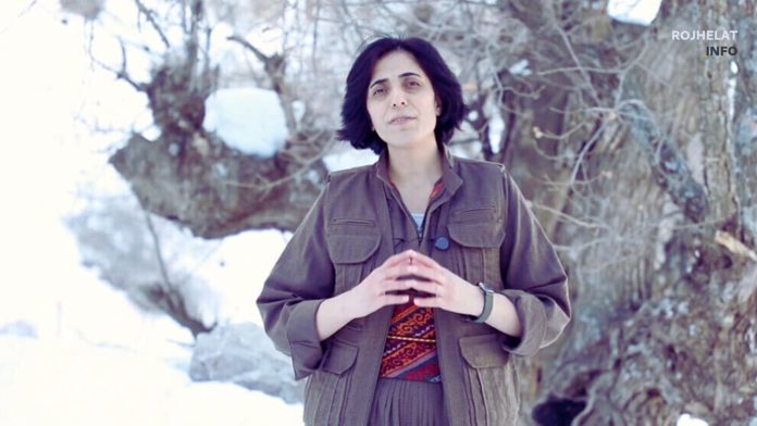 Peyman Viyan, Co-chair of Kurdistan Free Life Party (PJAK)